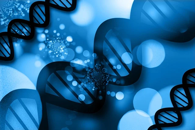 雙(二甲氨基丙基)異丙醇胺在汽車座椅、內(nèi)飾件和床墊制造中的應(yīng)用